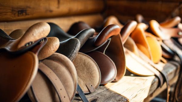Top conseils pour sélectionner un tapis de selle adapté à votre cheval