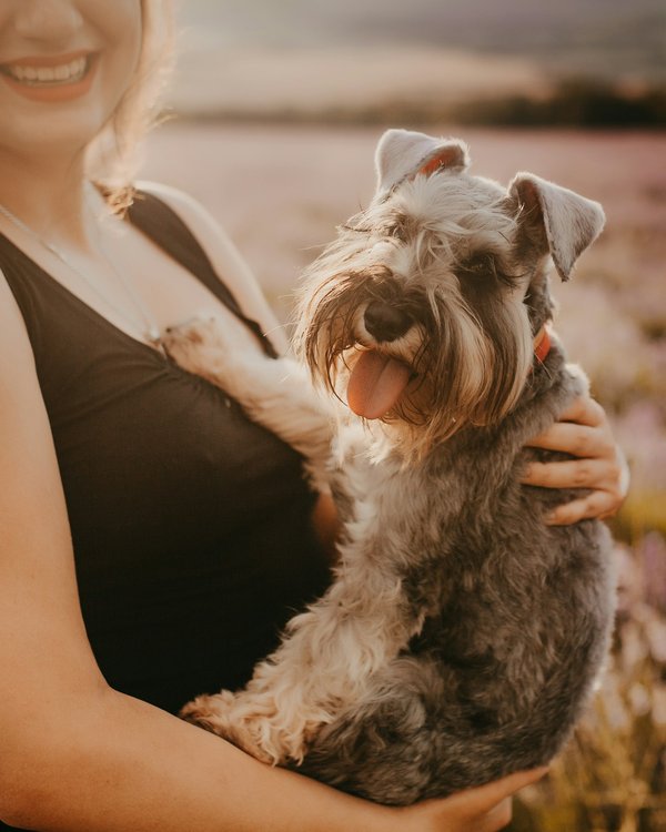 Actualités des chiens : inspirez-vous pour une adoption réussie